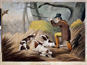 Jagd auf einen Bock in England
