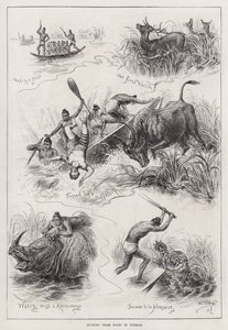 Jagd von Booten in Burma (Gravur) von English School