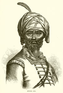 Hyder Ali von English School
