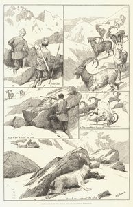 Steinbockjagd in den Shigar Nullahs, Baltistan, Himalaya (Stich) von English School