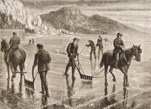Eisernte am Hudson River, Bundesstaat New York, ca. 1870, aus 