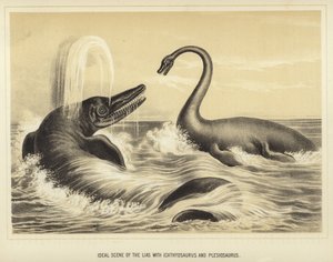Ideale Szene des Lias mit Ichthyosaurus und Plesiosaurus von English School
