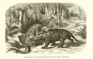 Iguanodon und Megalosaurus, Kreidezeit von English School
