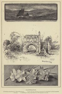 Illustration von English School