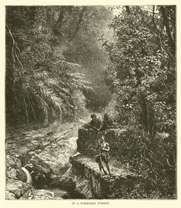 In einem Wald von Formosa von English School