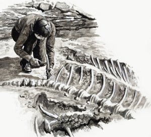 In den Tagen der Dinosaurier: Kampf der Giganten von English School