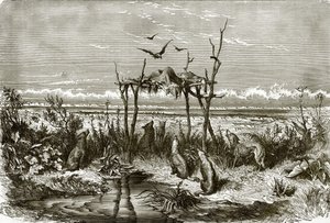 Indisches Grabmal in der Prärie mit hohem Gras, am Saskatchewan-Fluss von English School