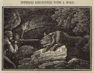 Unerschrockene Begegnung mit einem Wolf von English School