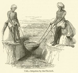 Bewässerung durch den Ckutweh (Stich) von English School