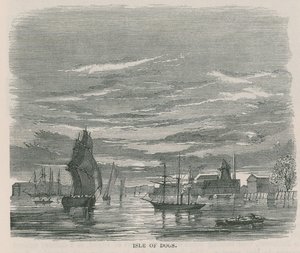 Isle of Dogs
