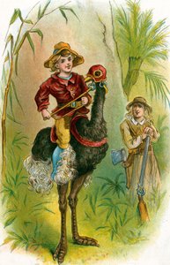Jack auf Whirlwind