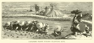 Japanische Reisfelder, Reis pflanzen von English School