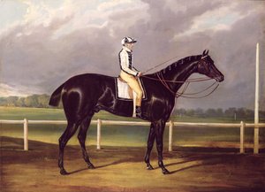 Jerry, Gewinner des St. Leger im Jahr 1824