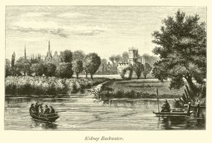 Kidney Backwater von English School