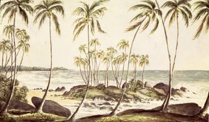 Kosgoda-Strand, Ceylon, ca. 1835 (Aquarell auf Papier)