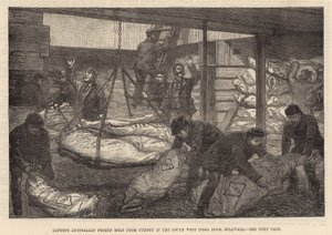 Entladen von australischem Tiefkühlfleisch im Südwestindischen Dock, Millwall von English School