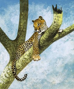 Leopard auf einem Baum