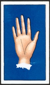Linie des Glücks