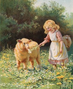 Kleines Mädchen füttert eine Blume an ein Schaf auf einer Wiese von English School
