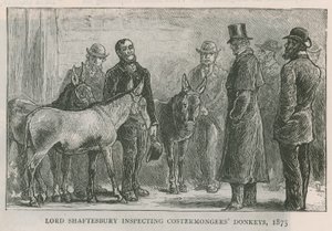 Lord Shaftesbury inspiziert die Esel der Straßenhändler von English School
