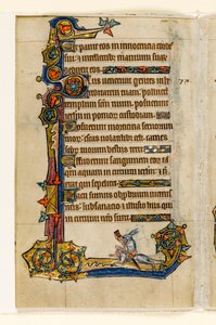 MS 1-2005, fol. 115v: Ein Hase reitet auf einem Hund, jagend, Randdekoration aus dem Macclesfield Psalter, Use of Sarum, Ostanglien, um 1330
