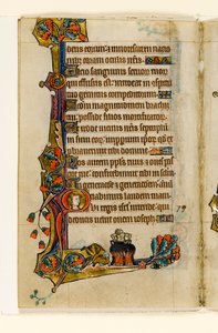 MS 1-2005, fol. 116v: Im Kessel, Randdekoration aus dem Macclesfield Psalter, Use of Sarum, Ostanglien, um 1330 von English School