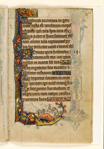 MS 1-2005, fol. 22r: Der Affenarzt und sein Bärenpatient, Randdekoration aus dem Macclesfield Psalter, Use of Sarum, Ostanglien, um 1330 von English School