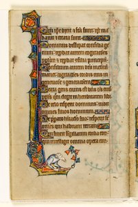 MS 1-2005, fol. 47v: Eine Groteske, Randdekoration aus dem Macclesfield Psalter, Use of Sarum, Ostanglien, um 1330 von English School