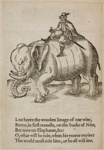 Mann reitet auf einem Elefanten, Illustration aus 
