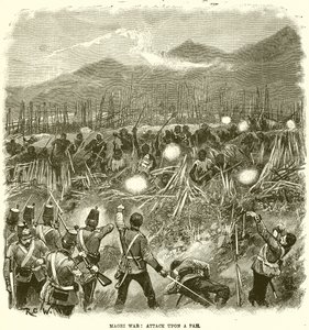 Maori-Krieg: Angriff auf ein Pah von English School
