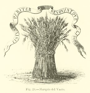 Marquis del Vasto von English School