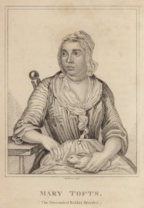 Mary Tofts, Die Vorgebliche Kaninchenzüchterin von English School