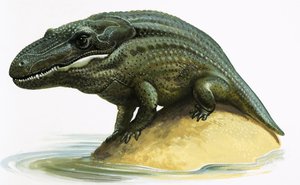 Mastodonsaurus
