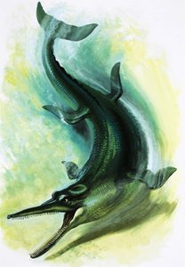 Metriorhynchus von English School