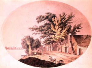 Millbank: von Tomkins und Jukes