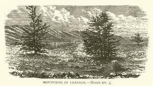 Berge des Libanon (Hosea, xiv, 5) von English School