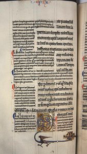 Ms.27, f.117v: Seite aus einer kommentierten Kopie des Neuen Testaments von English School