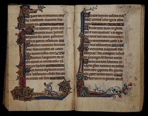 Ms 1-2005, ff.115v-116r: Kaninchenjagd auf einem Hund reitend, Randdekoration aus dem Macclesfield Psalter, Gebrauch von Sarum, Ostanglien, ca. 1330