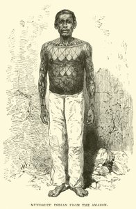 Mundrucu-Indianer vom Amazonas von English School
