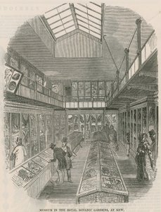 Museum in den Königlichen Botanischen Gärten, in Kew von English School
