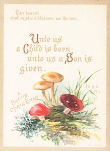 Pilze und Fliegenpilze, Weihnachtskarte