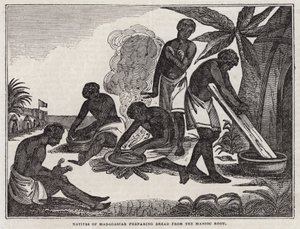 Einheimische von Madagaskar bereiten Brot aus Maniokwurzel zu