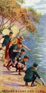 Naturstudien für Wolfskinder, 1929 von English School