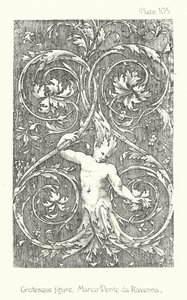 Natur im Ornament: Groteske Figur, Marco Dente da Ravenna von English School