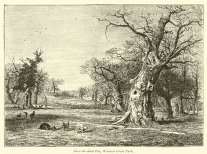 In der Nähe des Ziegengeheges, Windsor Great Park von English School