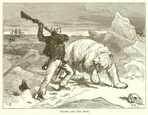Nelson und der Bär von English School