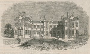 Neues Krankenhaus für Lungenkrankheiten, Fulham Road von English School