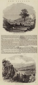 Neuseeland (Gravur) von English School
