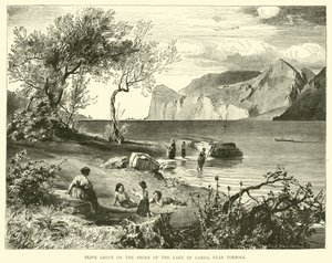 Olivenhain am Ufer des Gardasees, nahe Torbole von English School
