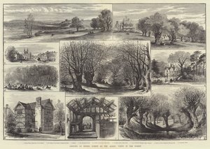 Eröffnung des Epping Forest durch die Königin, Ansichten im Wald (Gravur) von English School